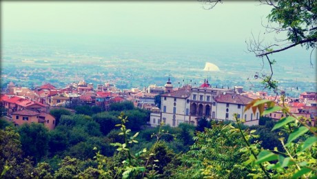 frascati