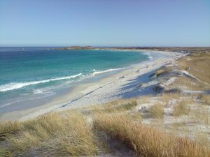 islas malvinas paisajes playa islas malvinas