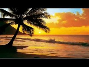 musica alabanza al senor desde a 1