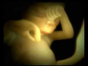 gospel tremenda alabanza