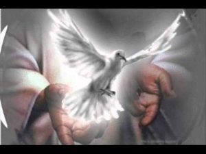 gospel honor al senor