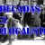 A 8 DÉCADAS DEL HOLOCAUSTO