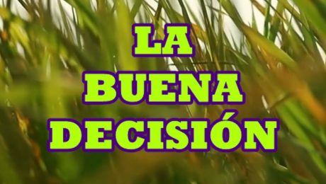 LA BUENA DECISIÓN