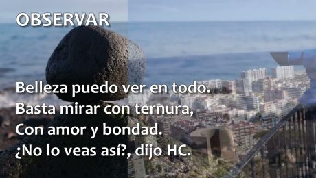 OBSERVAR