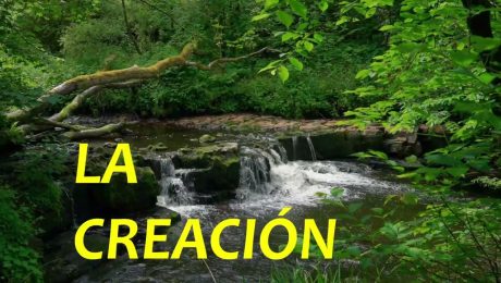 LA INFINITA MARAVILLA DEL SEÑOR