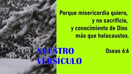MISERICORDIA QUIERO