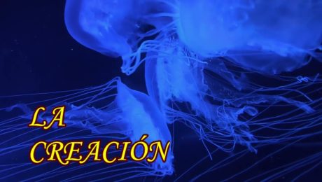 LAS ETÉREAS MARAVILLAS