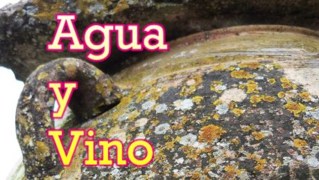 EL MILAGRO DEL AGUA Y EL VINO