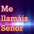 ME LLAMÁIS SEÑOR…
