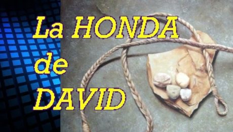 LA HONDA DE DAVID