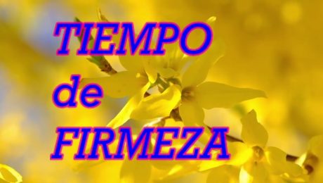 TIEMPOS DE FIRMEZA